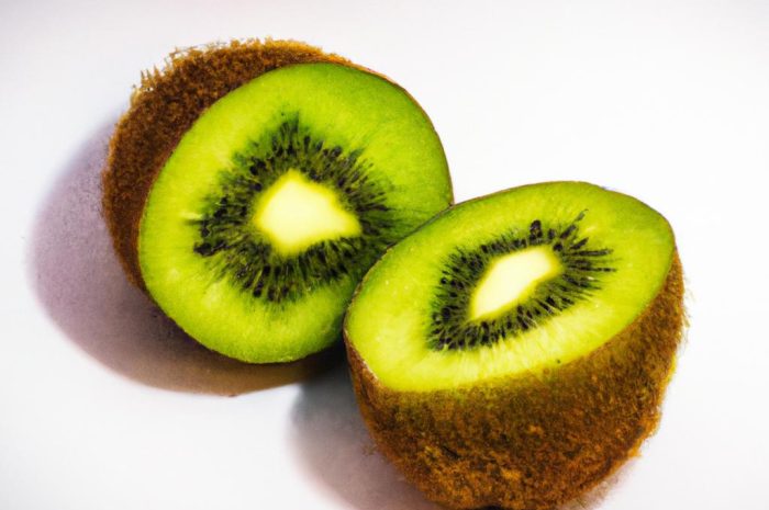 Aktinidia (Actinidia) – jak uprawiać ten znany rodzaj pnącza, który rodzi jadalne owoce? Poznaj wymagania tej popularnej rośliny!