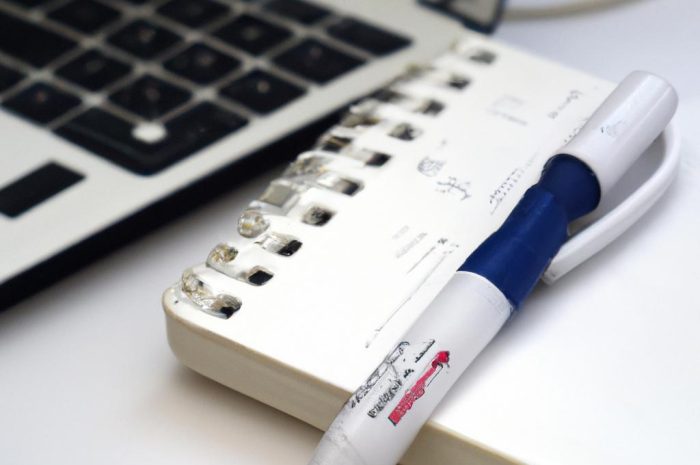 Alokazja – porady dla właścicieli