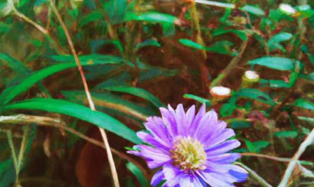 Aglaonema – piękna i łatwa w uprawie roślina tropikalna na twój parapet