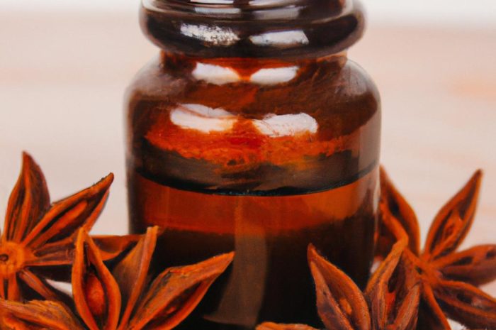 Badian – roślina, z której wytwarza się olejek anyżowy. Czym się charakteryzuje?