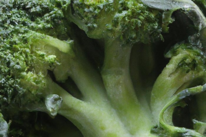 Brokuł – sadzenie, uprawa, pielęgnacja i właściwości