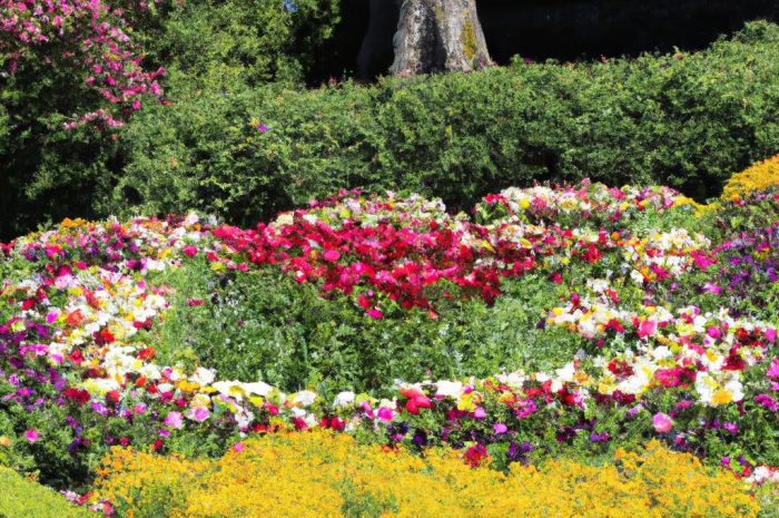 Budleja Dawida – uczta dla motyli w twoim ogrodzie