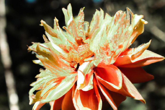 Byliny kwitnące jesienią. Jakie kwiaty wieloletnie zakwitają na jesień?