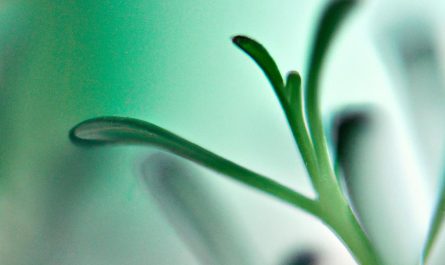 Anturium Andreego – ta roślina doniczkowa upiększy twoje mieszkanie