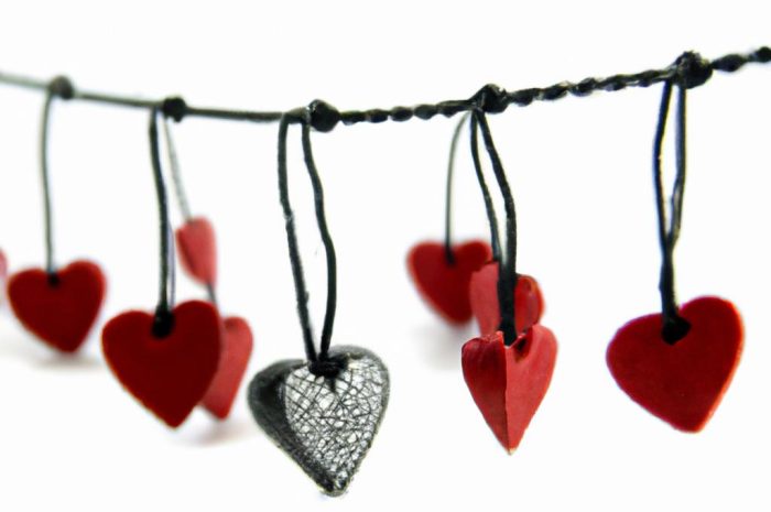 Ceropegia woodii – łatwe w utrzymaniu romantyczne pnącza