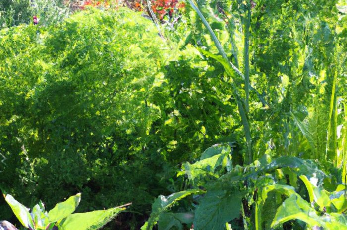 Co posadzić obok azalii? Wybieramy sąsiedztwo dla różaneczników