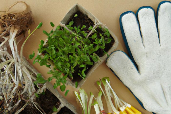 Co siać w styczniu? Pierwszy wysiew nasion w sezonie