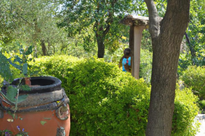 Cyprysik groszkowy (łac. Chamaecyparis pisifera) – uprawa, odmiany i właściwa pielęgnacja w ogrodzie