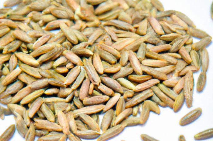 Czym charakteryzują się nasiona automatyczne?