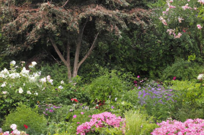 Czym jest ogród francuski i dlaczego jego wykorzystanie może być dobrym pomysłem? Sprawdź przydatne informacje!