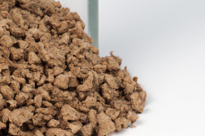 Czym nawozić hortensje? Jaki powinien być idealny nawóz? Dowiedz się więcej!