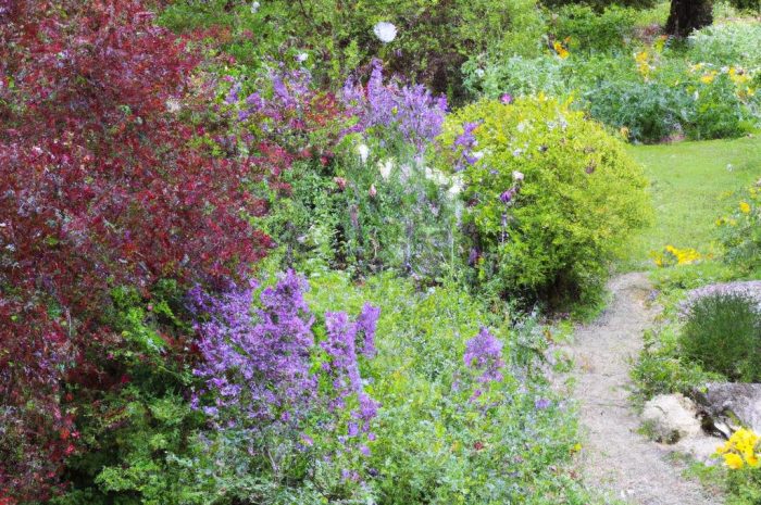 Dlaczego warto mieć gazony w ogrodzie? Co można z nich zrobić i jakie rośliny w nich sadzić?