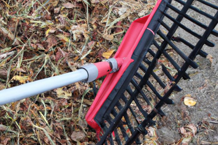 Dmuchawa do liści czy zwykłe grabie – doradzamy, kiedy warto kupić odkurzacz do liści