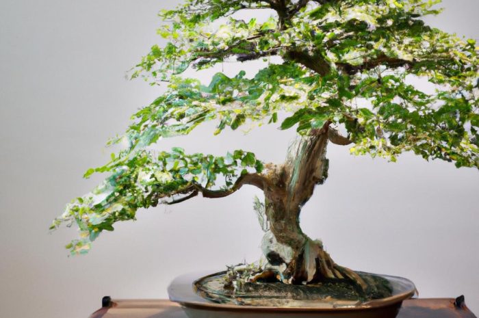 Doniczka do bonsai – co warto o niej wiedzieć?