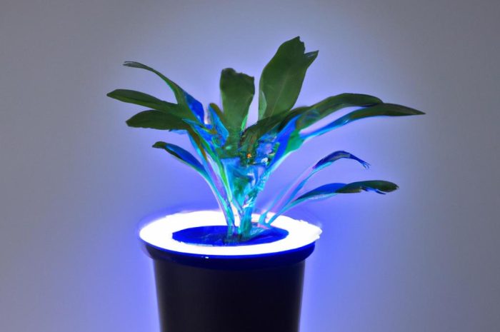 Doświetlanie roślin doniczkowych – na czym to polega? Sprawdź, jaki system doświetlania roślin sprawdza się najlepiej!