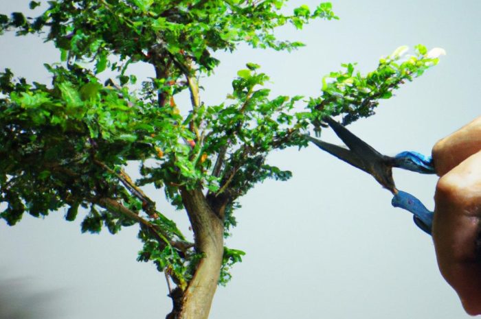 Drzewko bonsai do ogrodu – jak prawidłowo formować roślinę?