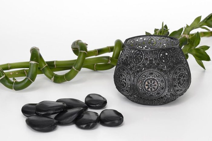 Drzewko szczęścia – roślina, która ma przynieść pomyślność