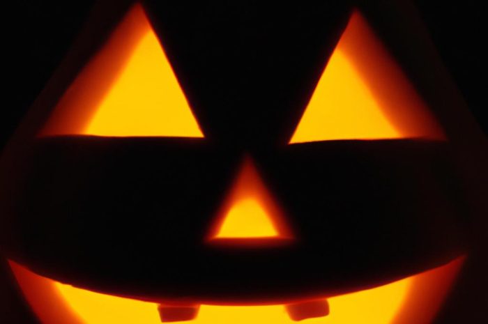 Dynia Halloween – uprawa, pielęgnacja i pożądane stanowisko dla oryginalnej rośliny