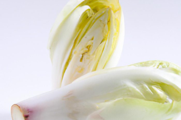 Endywia – właściwości uprawa i zastosowanie cykorii endywii