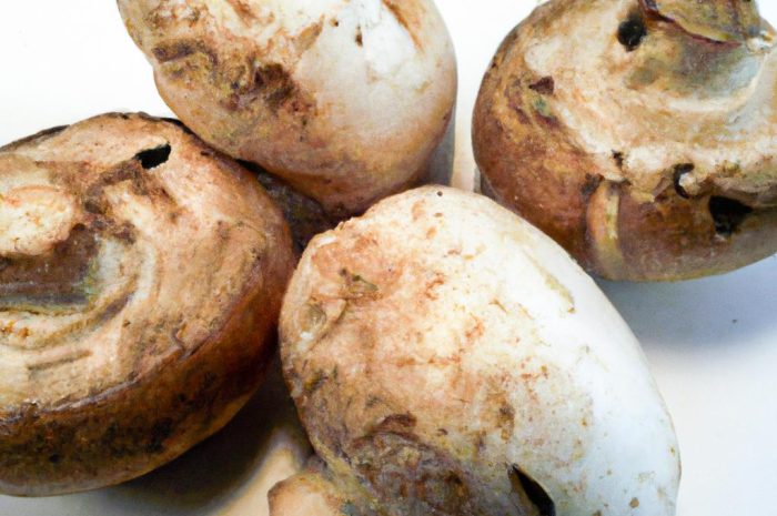 Gąska pieprzna – grzyby leśne o ostrym smaku i trujących właściwościach