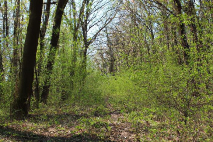 Gdzie na grzyby? Mazowieckie i okolice Warszawy