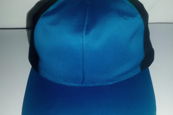 Gołąbek zielonawy (Russula virescens) – opis gatunku jadalnego grzyba