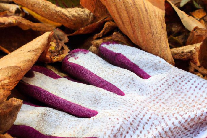 Grabienie liści – czy to niezbędny zabieg? Kiedy i jak zgrabić jesienne liście? Sprawdź!