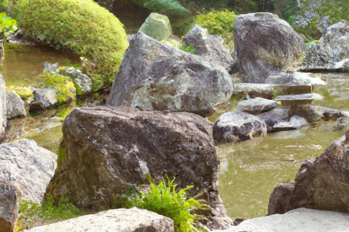 Grujecznik – drzewo rodem z Japonii. Warunki uprawy, wymagania