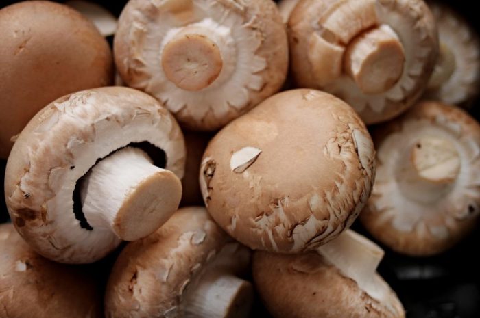 Grzyb panienka (Amanita fulva) – jadalny muchomor występujący w Polsce
