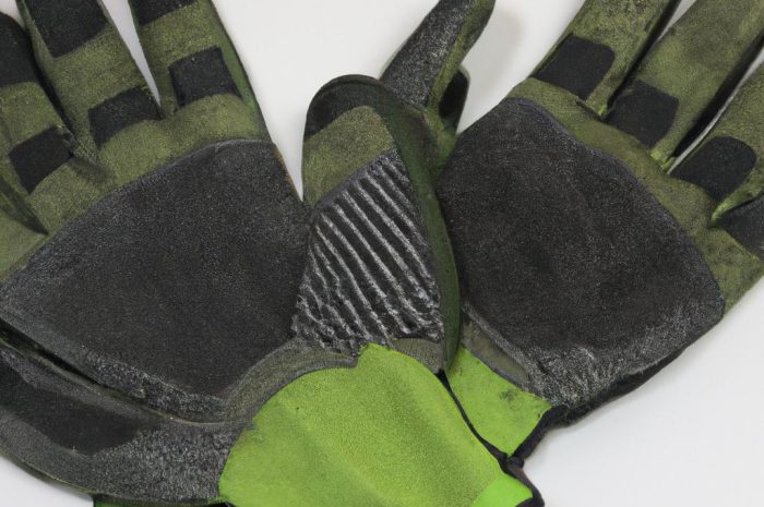 Hoja – uprawa i pielęgnacja