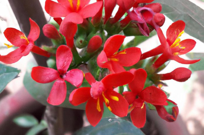 Ile kosztuje najdroższy kwiat świata? Czyli najdroższe kwiaty świata w pigułce