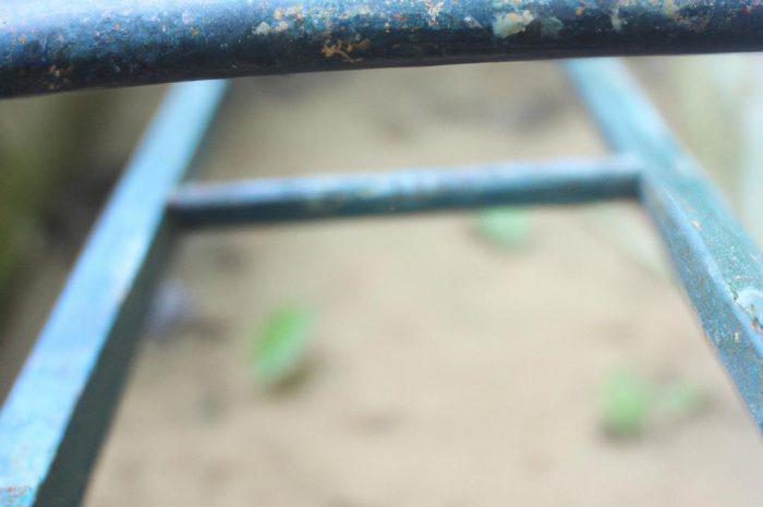 Jaką drabinę ogrodową wybrać?