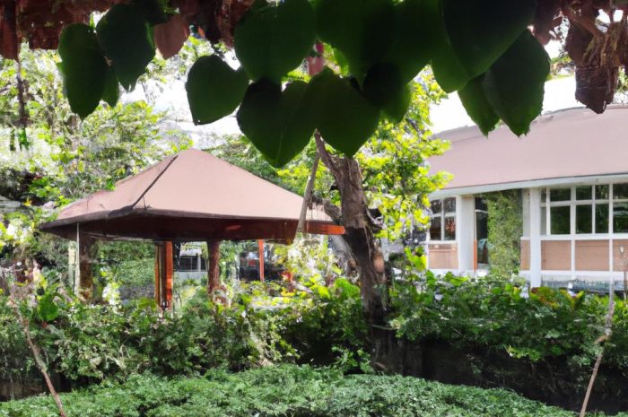 Jak posadzić tuje w ogrodzie – inspiracje