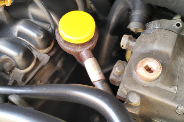 Jak pozbyć się kuny? Poznaj najlepsze sposoby!