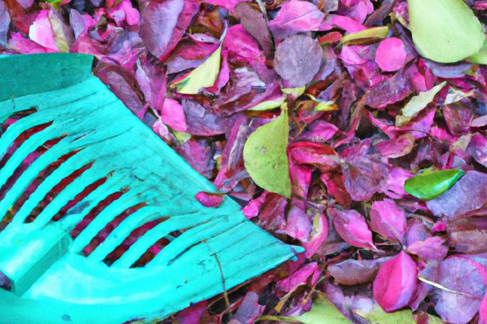 Jak przygotować ogród na zimę? Jesienne prace ogrodowe