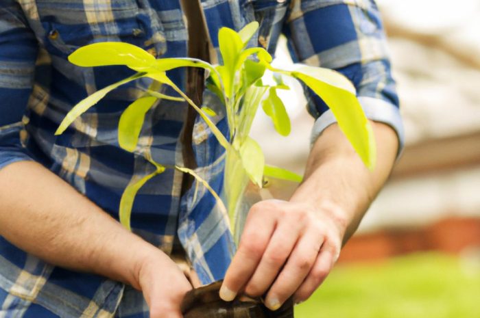 Jak rozplanować pracę w ogrodzie – poradnik dla początkujących