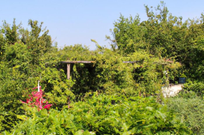 Jak stworzyć komfortowe miejsce do relaksu w ogrodzie?