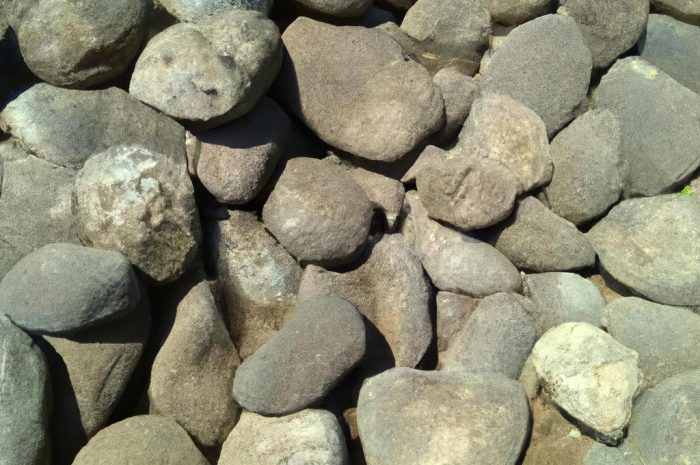 Jak stworzyć piękny ogród skalny? Postaw na alpinarium!