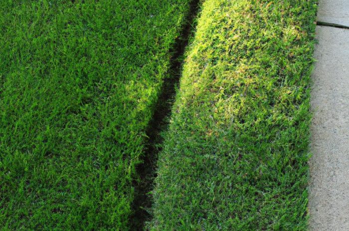 Jak wykopać obrzeża trawnikowe i na co zwracać uwagę?