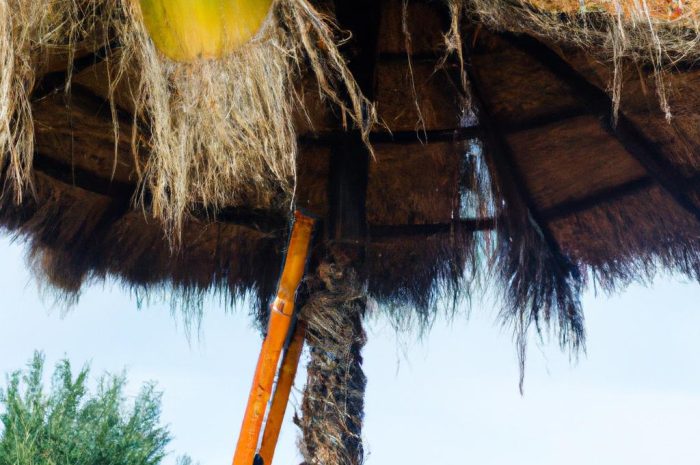 Jak zabezpieczyć palmę na zimę?