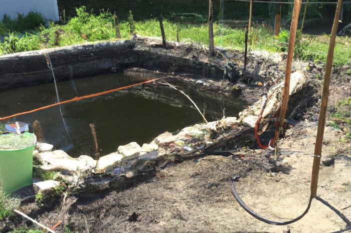 Jak zbudować oczko wodne w ogrodzie krok po kroku?