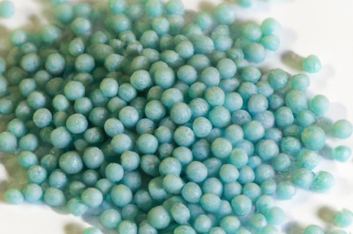 Jaki nawóz do budlei wybrać? Czy ten krzew liściasty potrzebuje takich zabiegów?