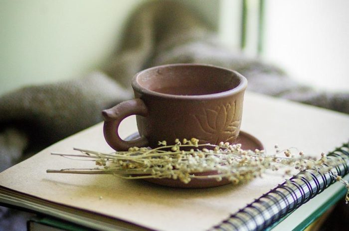 Jałowiec chiński – piękny iglak o szerokim zastosowaniu. Jak go uprawiać, aby pięknie rósł?