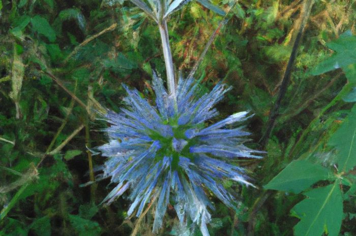 Jasnota plamista – charakterystyka, pielęgnacja i uprawa. Która odmiana będzie najlepsza jako roślina ozdobna?