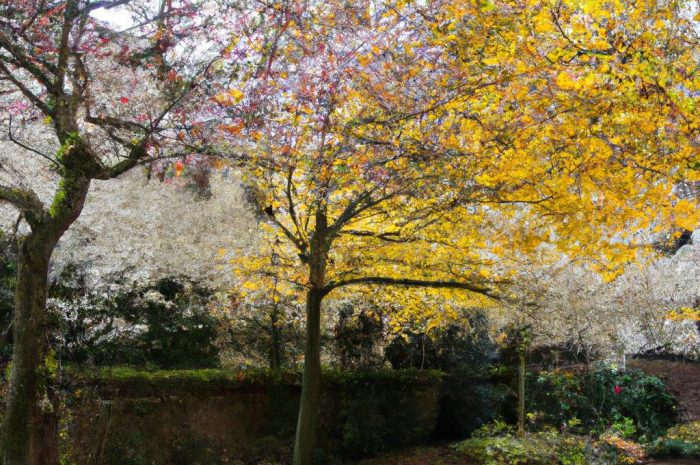 Jesień w ogrodzie: porządki, siew, zbiory