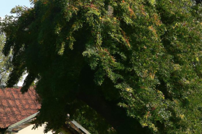 Jesion (Fraxinus) to długowieczne drzewo o cylindrycznej koronie. Jakie wymagania ma ten gatunek i jego odmiany?