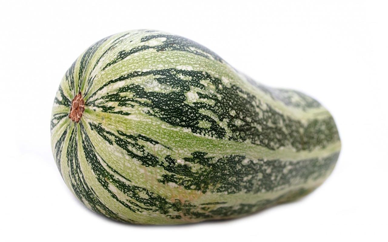 Kabaczek i cukinia – czym różnią się te warzywa? Uprawa i wymagania