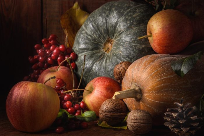 Kalina – jakie są najciekawsze gatunki? Czym wyróżnia się ta roślina? Jak ją uprawiać?