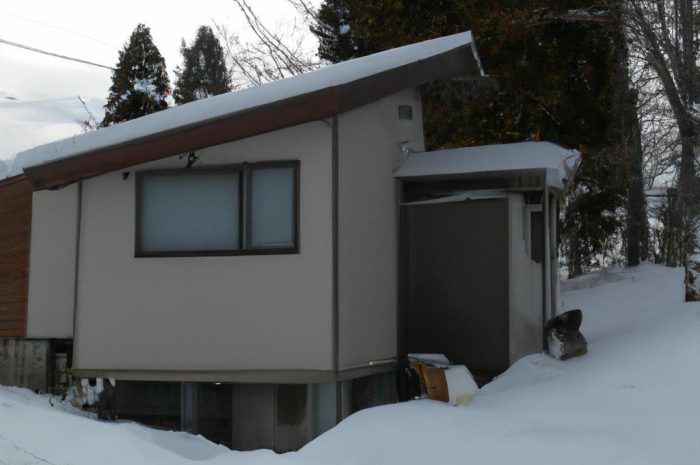 Kanna – zimowanie. Czy paciorecznik może rosnąć cały rok w gruncie?