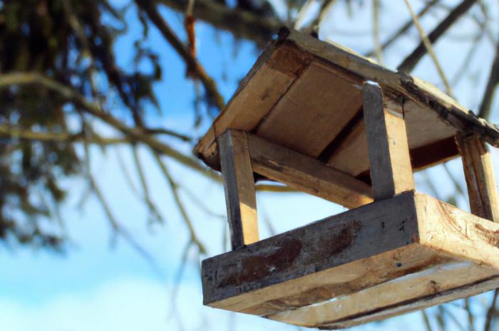 Karmnik ościsty – czy sprawdzi się jako zamiennik trawy?